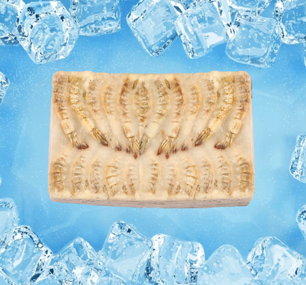 Vacuum Pack Shrimp